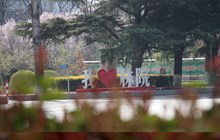 我爱看球