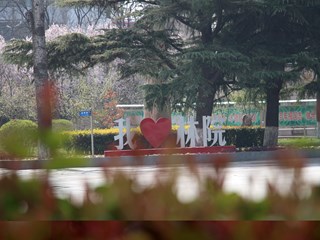我爱看球