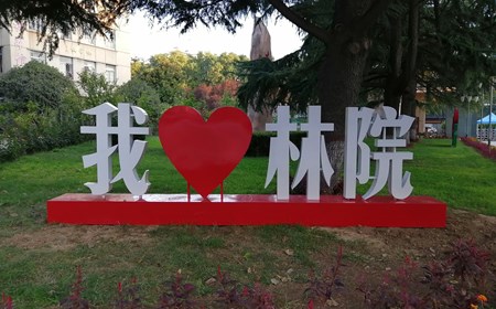 看球风光